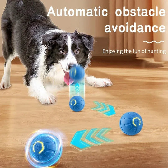 Electronic Interactive Pet Toy Moving Ball USB Automatic Moving Bouncing for Puppy