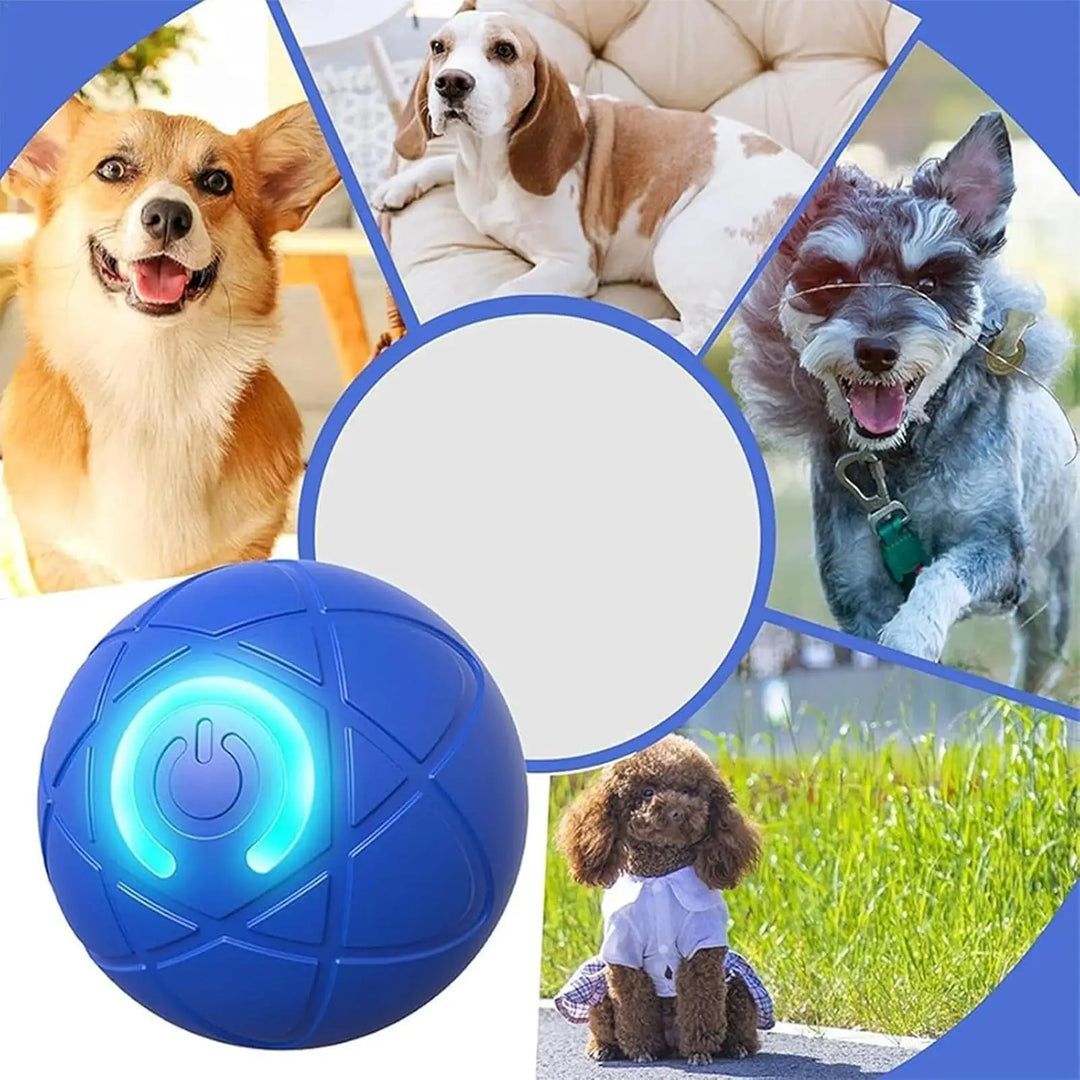 Pet Toy Ball Electric Interactive Game Gravity Sensor Smart Jumping Rolling Ball Automatic Moving Puppy Cat Entertainment Toys
