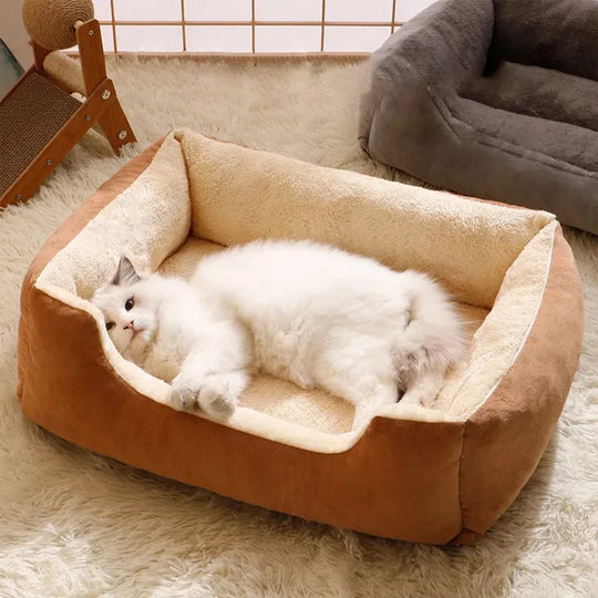 Bed for Cats Pet Products Cushions Kitten Goods Accessories D