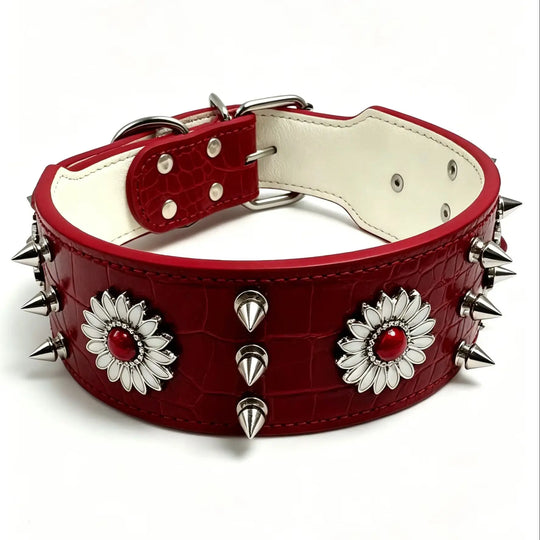 Dog collar with rivets, red, fashionable, cool, street punk style