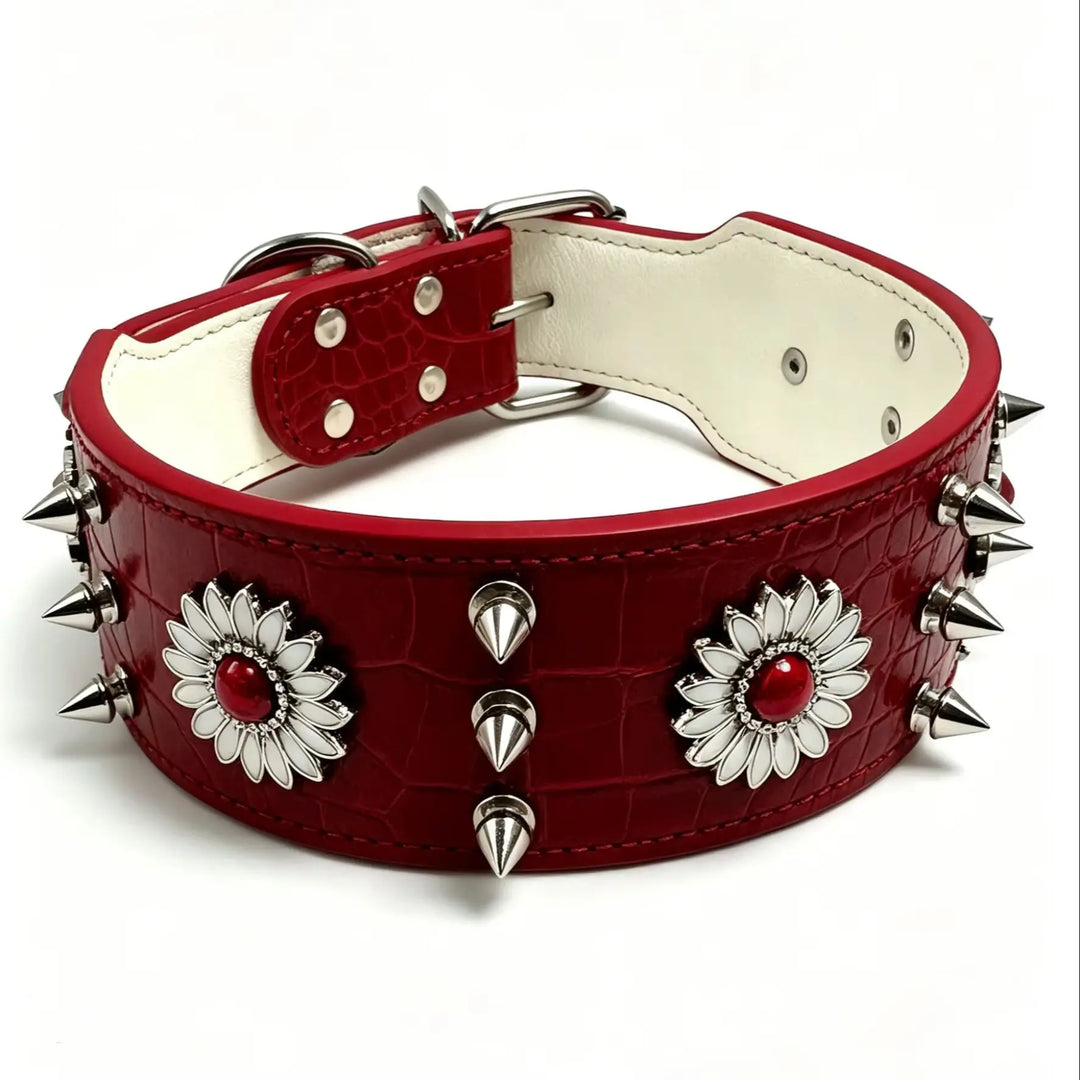 Dog collar with rivets, red, fashionable, cool, street punk style