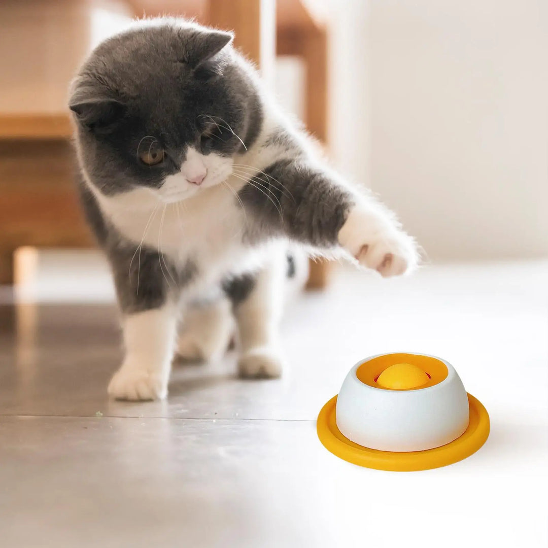 Pet Feeding Accessories Dog Treat Toy Puzzle Toys For Bored Puppy Slow Feeder Puppy Supplies For Healthy Eating Food Crate