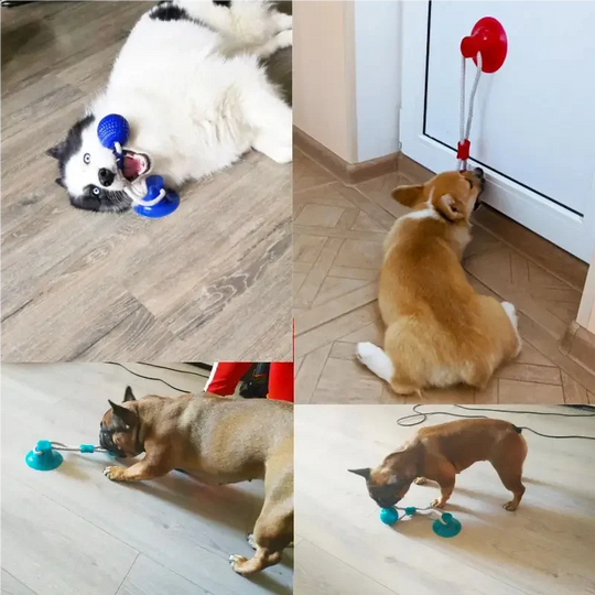 Ball Toys Molar Bite Toy Elastic Ropes Dog Tooth Cleaning Chewing