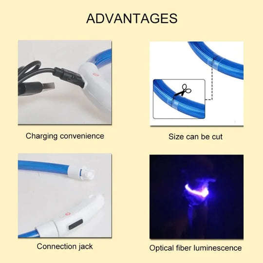 B Pet Dog LED Collar - Dog Loss Prevention Collar
