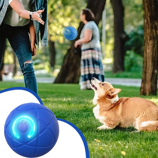 Pet Toy Ball Electric Interactive Game Gravity Sensor Smart Jumping Rolling Ball Automatic Moving Puppy Cat Entertainment Toys
