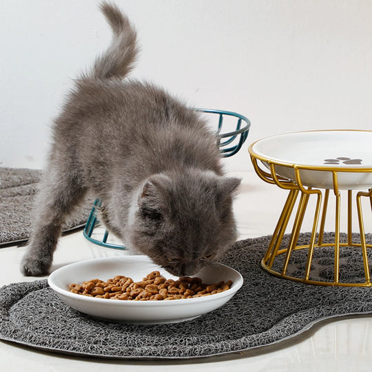 Ceramic Raised Pet Bowl Food Water Bowls with Rack for Cats Dogs