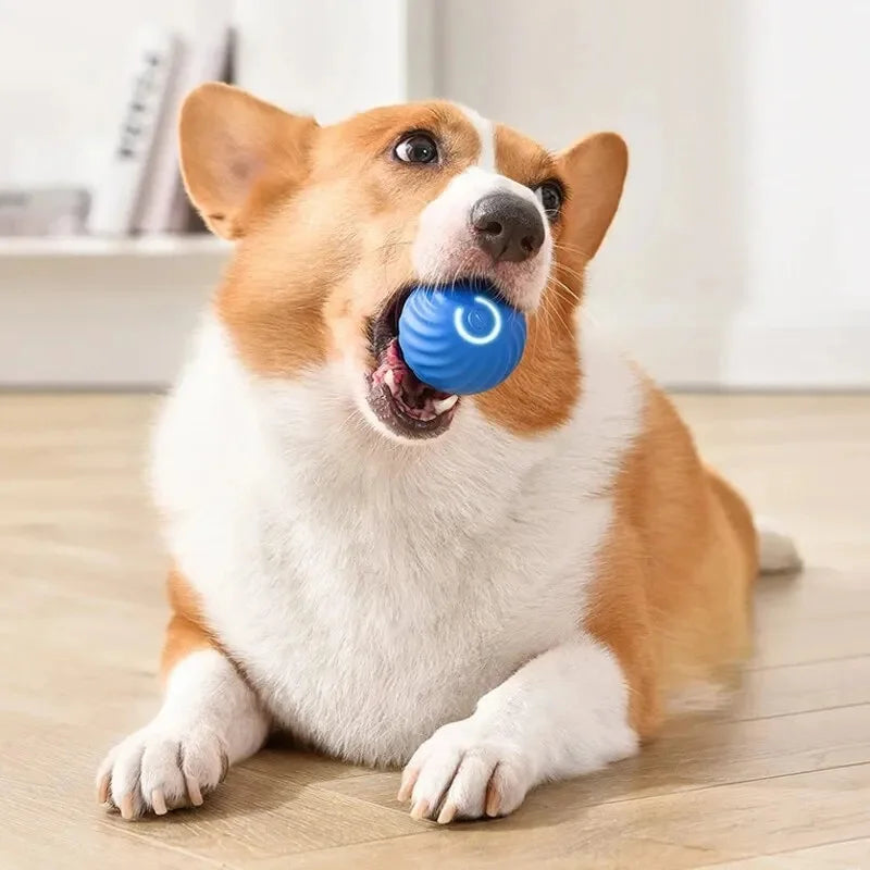 Electronic Interactive Pet Toy Moving Ball USB Automatic Moving Bouncing for Puppy