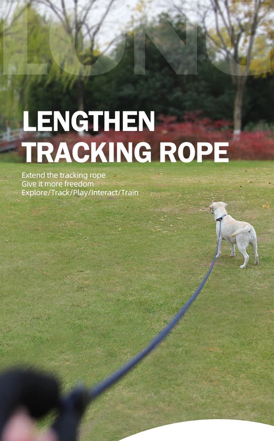 Long Dogs Training Leash for Walking Heavy Duty Nylon Leash for Agility Training