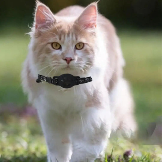 Pet Tracking GPS  Night Reflective Adjustable Collar Phone APP Lightweight Cat Tracker