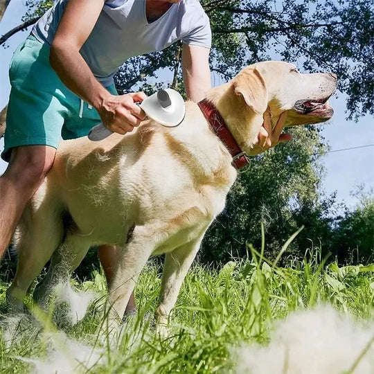Pet Dog Brush; Cat Brush; One-Button Pet Hair Removal Brush