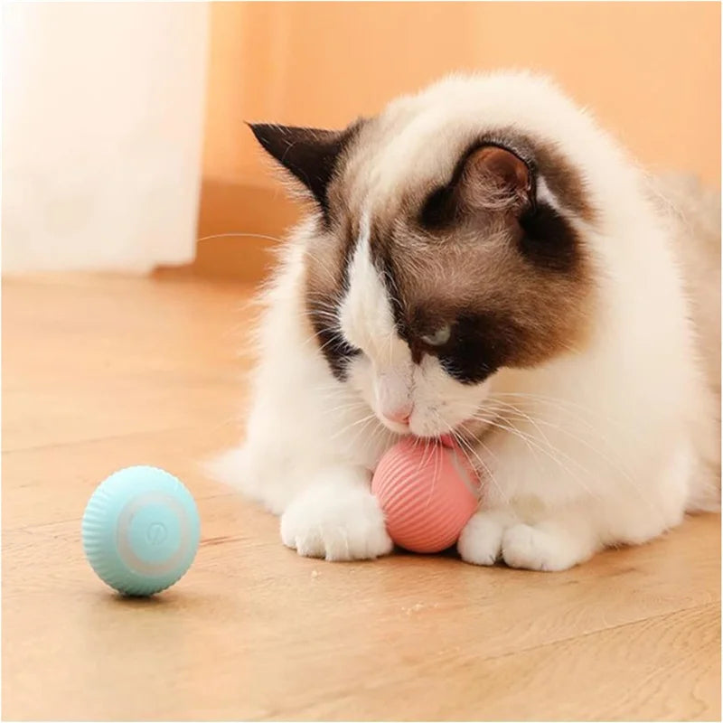 Electronic Interactive Pet Toy Moving Ball USB Automatic Moving Bouncing for Puppy