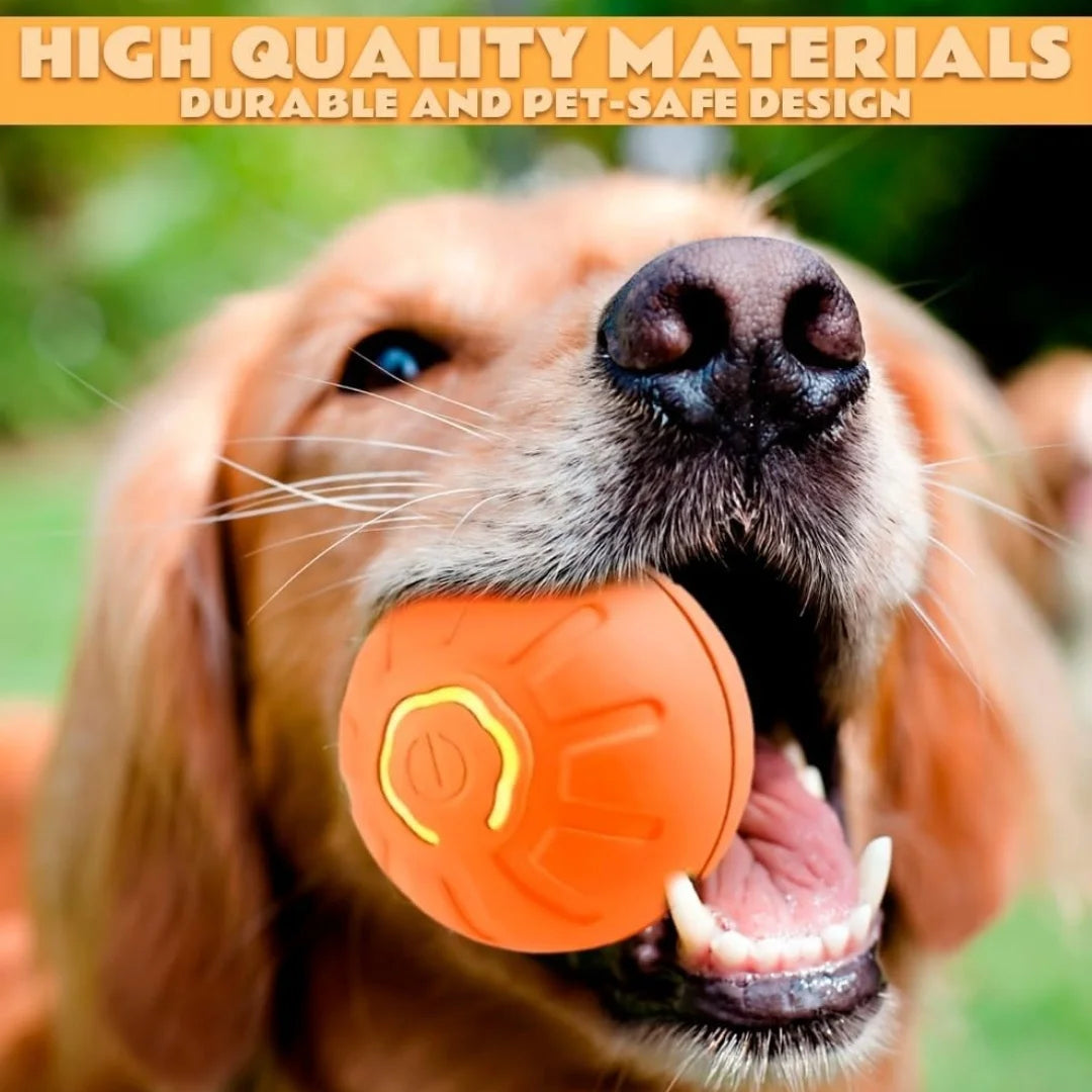 Pet toys Gravity Electric Amusement Pet Ball