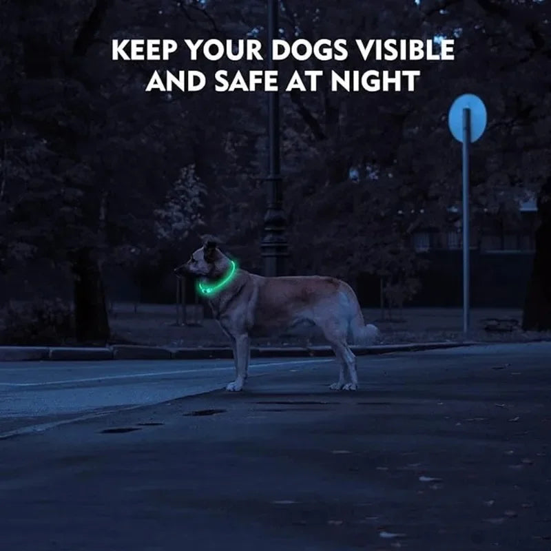 B Pet Dog LED Collar - Dog Loss Prevention Collar