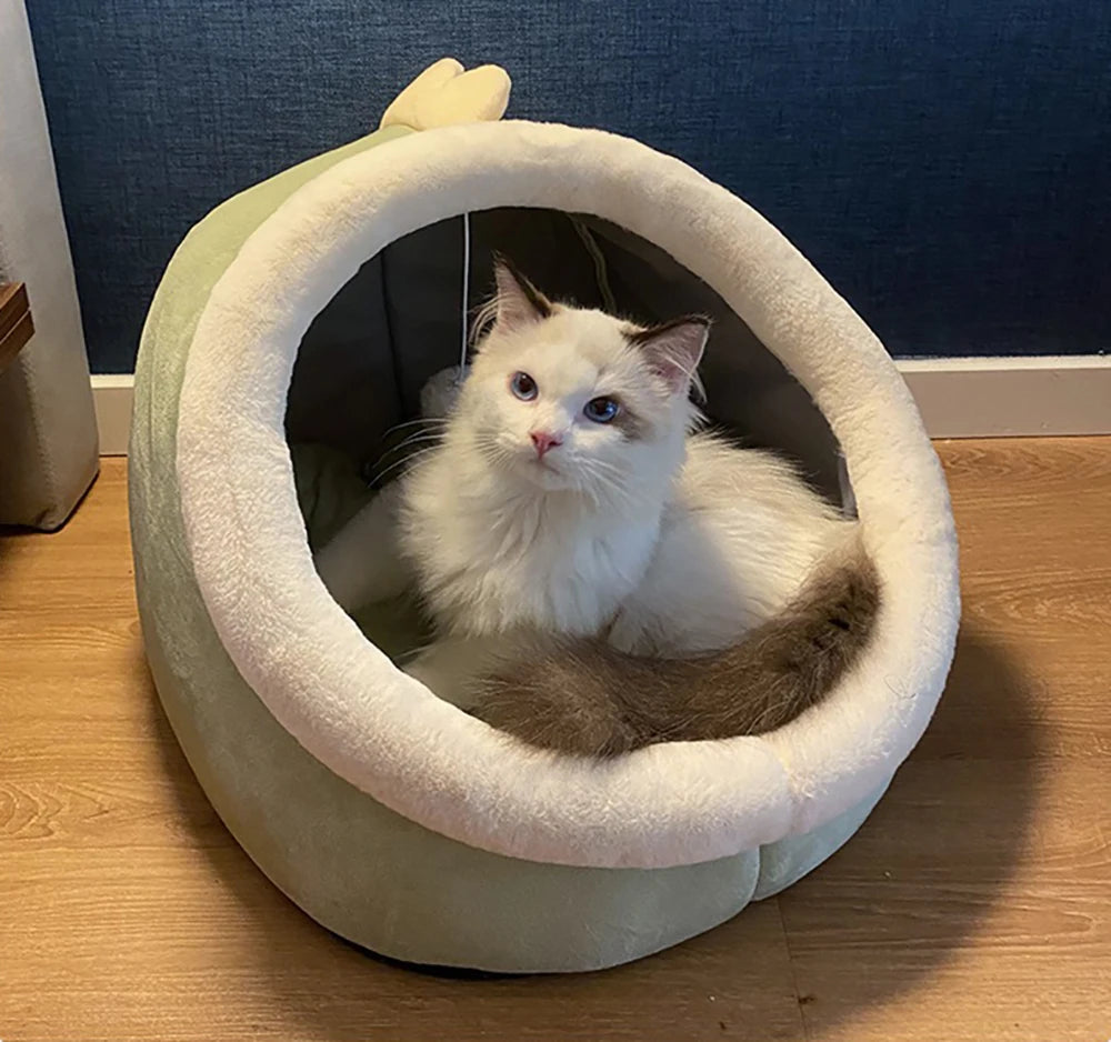 Deep Sleep Cat Bed Cartoon Pet Bed Foldable Removable Washable