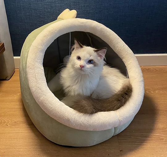 Deep Sleep Cat Bed Cartoon Pet Bed Foldable Removable Washable