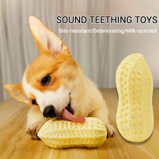 Pet Toys TPR Simulation Peanut Sound Toy