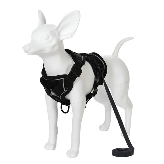 Breathable Cat Harness Leash for Small Medium Dogs Cats
