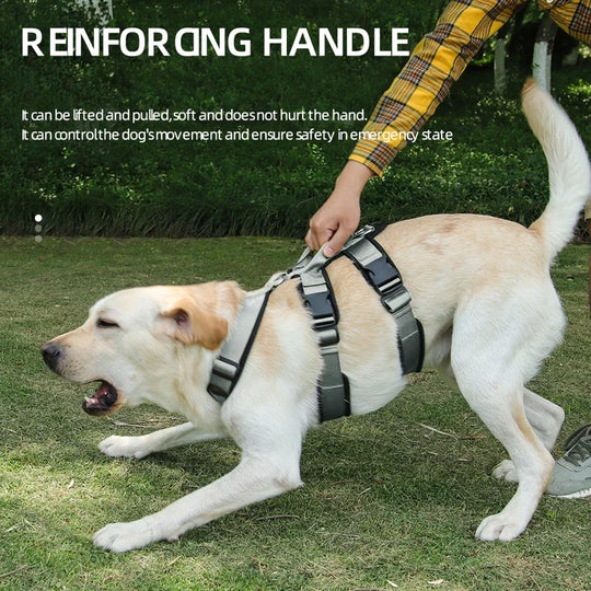 Adjustable Anti-Breakaway Dog Harness for Outdoor Activities – Secure Control for Medium & Large Dogs