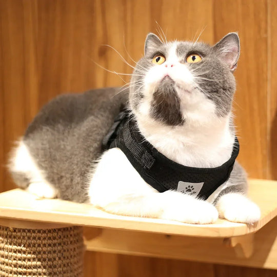 Cat Harness Lead Leash Set Adjustable Reflective Escape Proof Pet