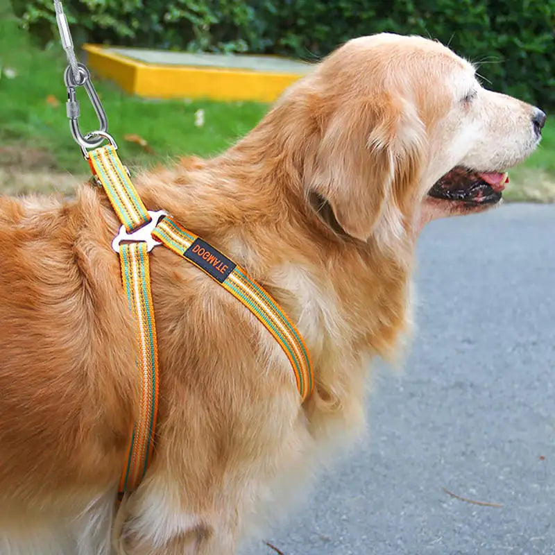 Double-headed Dog Tie Out Cable Leash ,raction rope with metal buckle steel wire