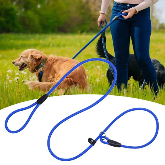 Dog Training Leash P Leash, Durable Nylon Material Heavy Duty