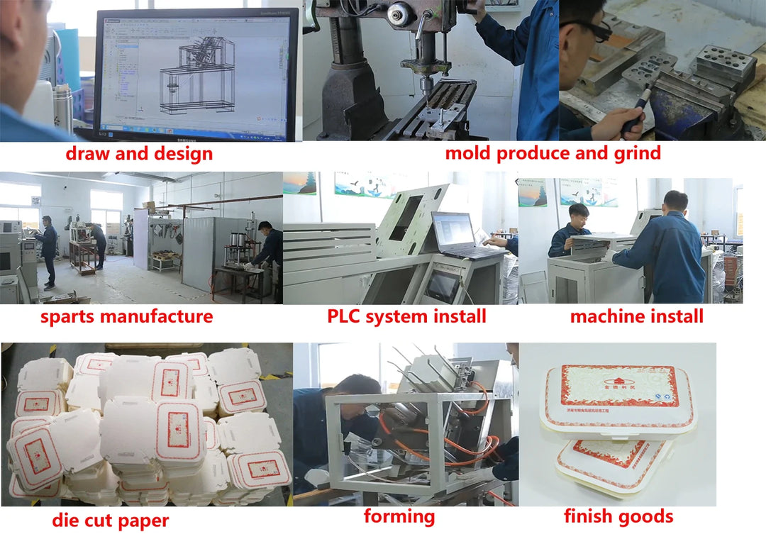 Customized Fully Automatic Paper Food Tray Making Machine Disposable Food Container Forming Equipment