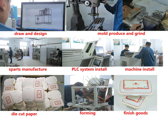 Customized Fully Automatic Paper Food Tray Making Machine Disposable Food Container Forming Equipment
