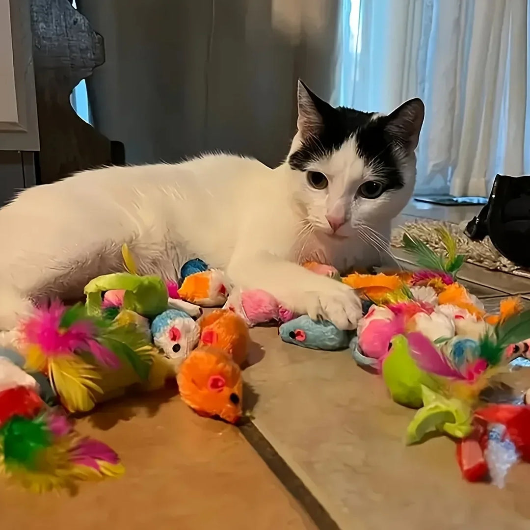 56pcs/28pcs/14pcs Cat Toys Mixed Pack